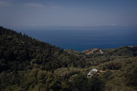 House in an Olive Grove